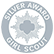 Girl Scout Silver Award pin