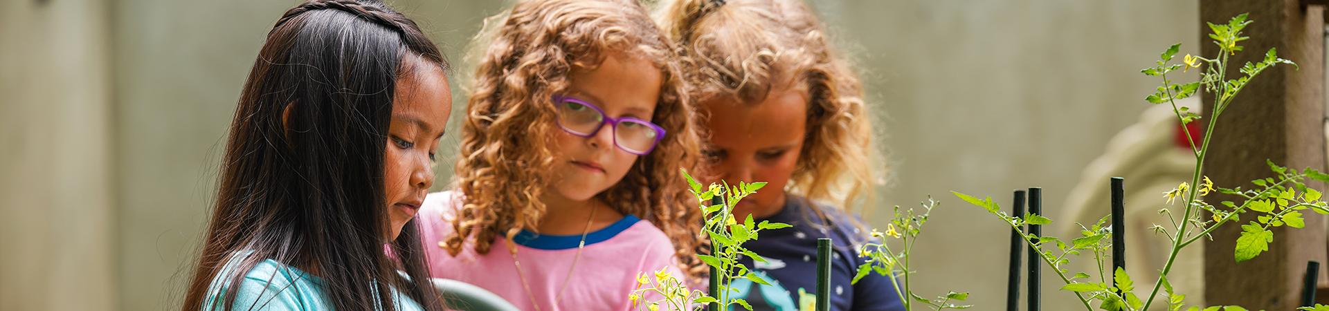  Three Daisy Girl Scouts gardening 